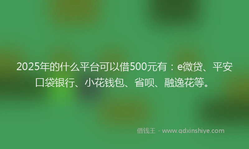 2025年的什么平台可以借500元有：e微贷、平安口袋银行、小花钱包、省呗、融逸花等。
