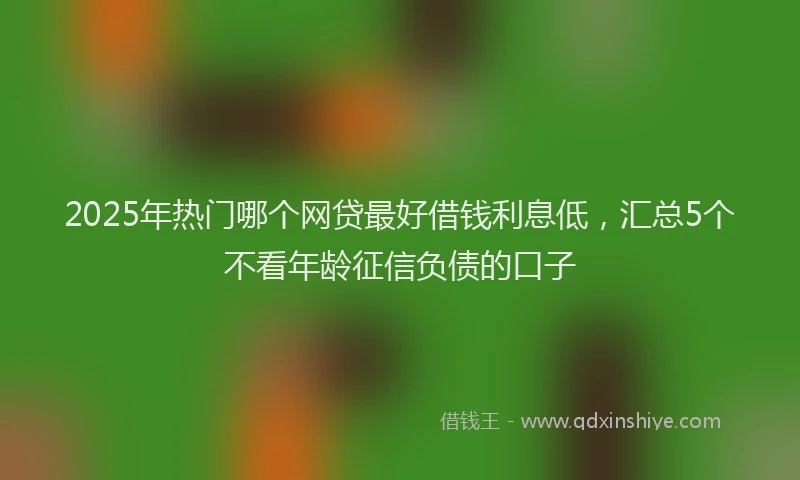 2025年热门哪个网贷最好借钱利息低，汇总5个不看年龄征信负债的口子