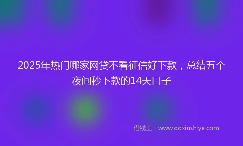 2025年热门哪家网贷不看征信好下款，总结五个夜间秒下款的14天口子