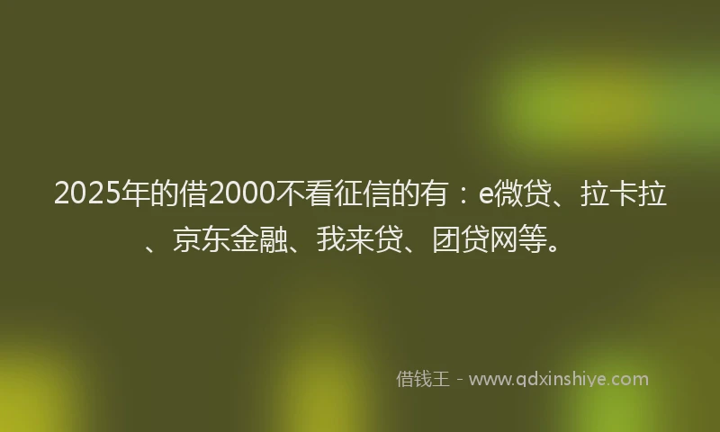 2025年的借2000不看征信的有：e微贷、拉卡拉、京东金融、我来贷、团贷网等。