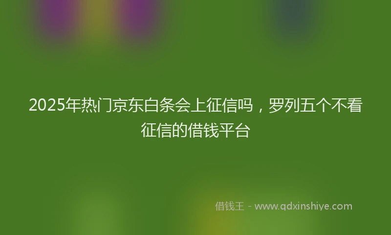 2025年热门京东白条会上征信吗，罗列五个不看征信的借钱平台
