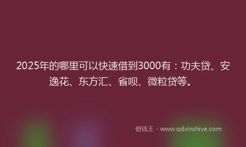 2025年的哪里可以快速借到3000有：功夫贷、安逸花、东方汇、省呗、微粒贷等。