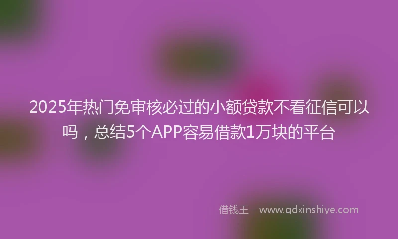 2025年热门免审核必过的小额贷款不看征信可以吗，总结5个APP容易借款1万块的平台
