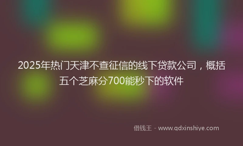 2025年热门天津不查征信的线下贷款公司，概括五个芝麻分700能秒下的软件