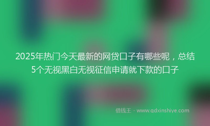 2025年热门今天最新的网贷口子有哪些呢，总结5个无视黑白无视征信申请就下款的口子