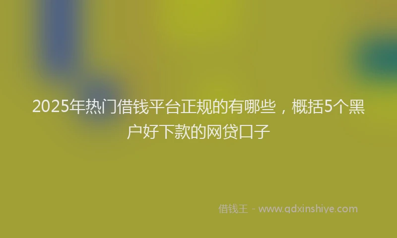 2025年热门借钱平台正规的有哪些，概括5个黑户好下款的网贷口子