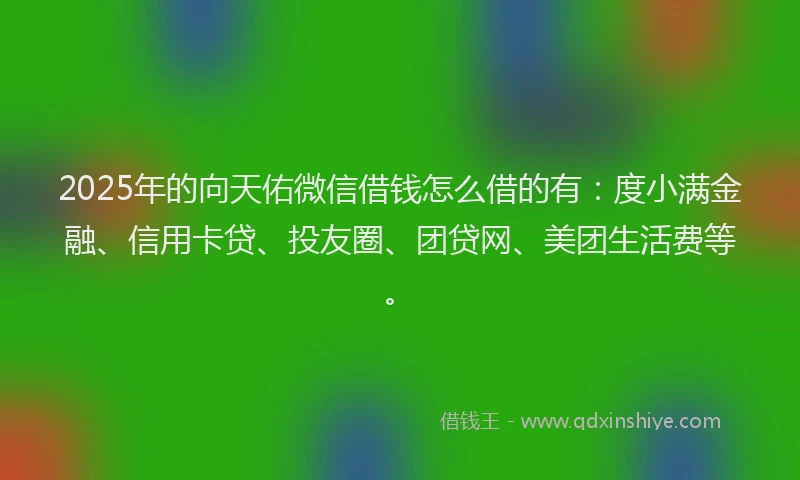 2025年的向天佑微信借钱怎么借的有：度小满金融、信用卡贷、投友圈、团贷网、美团生活费等。