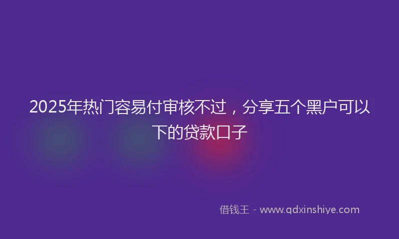 2025年热门容易付审核不过，分享五个黑户可以下的贷款口子
