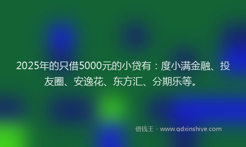 2025年的只借5000元的小贷有：度小满金融、投友圈、安逸花、东方汇、分期乐等。