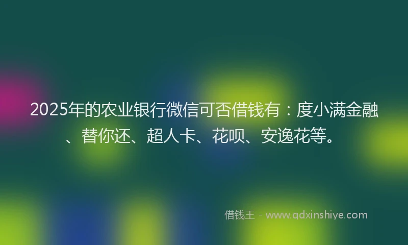 2025年的农业银行微信可否借钱有：度小满金融、替你还、超人卡、花呗、安逸花等。