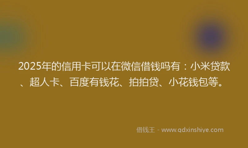2025年的信用卡可以在微信借钱吗有：小米贷款、超人卡、百度有钱花、拍拍贷、小花钱包等。