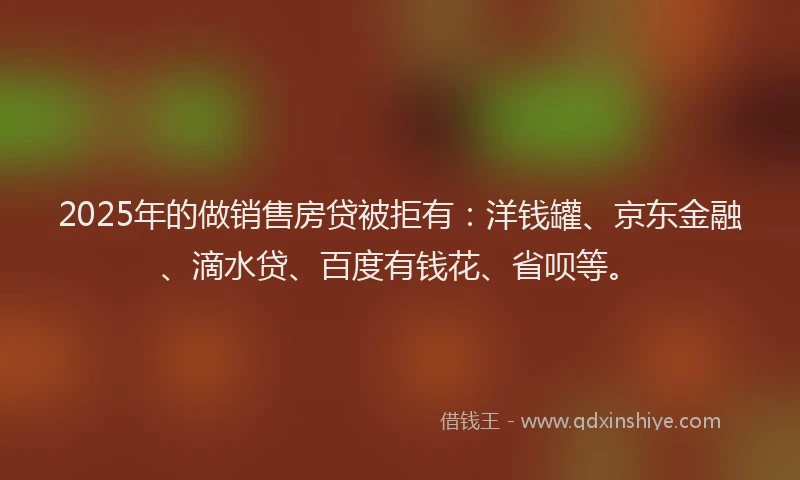 2025年的做销售房贷被拒有：洋钱罐、京东金融、滴水贷、百度有钱花、省呗等。