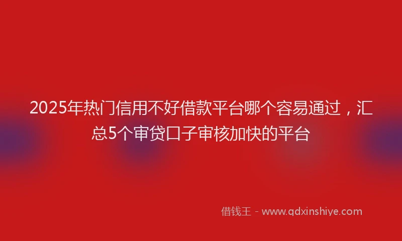 2025年热门信用不好借款平台哪个容易通过，汇总5个审贷口子审核加快的平台