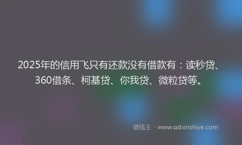 2025年的信用飞只有还款没有借款有：读秒贷、360借条、柯基贷、你我贷、微粒贷等。