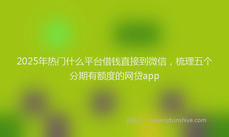2025年热门什么平台借钱直接到微信，梳理五个分期有额度的网贷app
