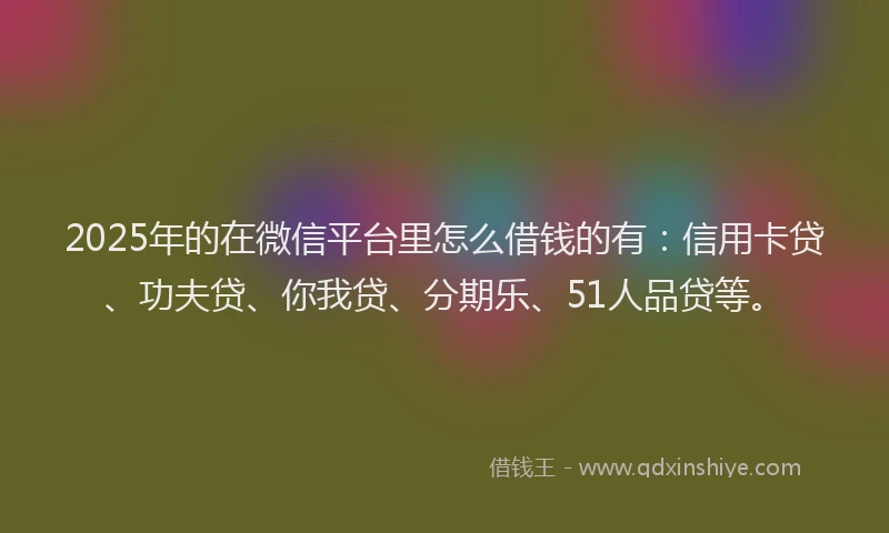 2025年的在微信平台里怎么借钱的有：信用卡贷、功夫贷、你我贷、分期乐、51人品贷等。