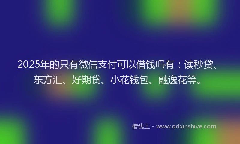2025年的只有微信支付可以借钱吗有：读秒贷、东方汇、好期贷、小花钱包、融逸花等。