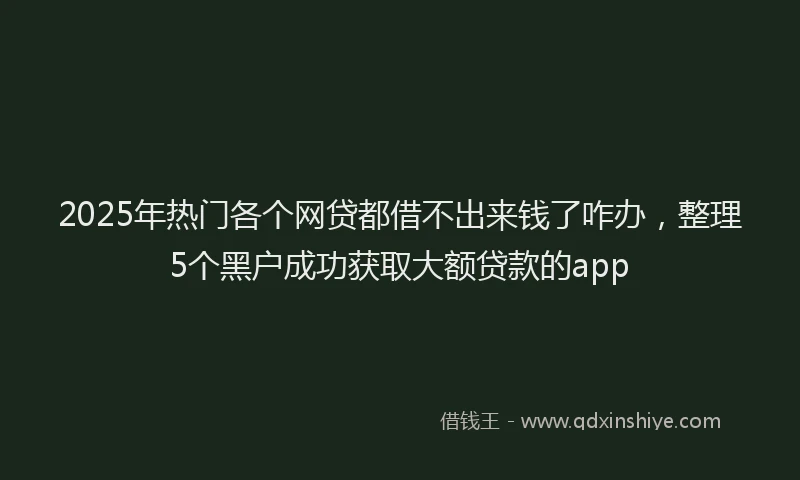 2025年热门各个网贷都借不出来钱了咋办，整理5个黑户成功获取大额贷款的app