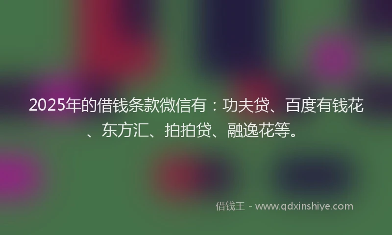 2025年的借钱条款微信有：功夫贷、百度有钱花、东方汇、拍拍贷、融逸花等。