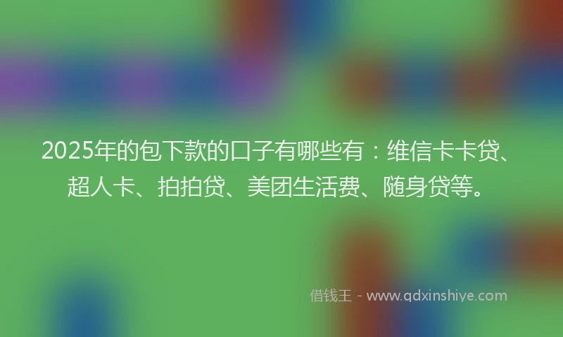 2025年的包下款的口子有哪些有：维信卡卡贷、超人卡、拍拍贷、美团生活费、随身贷等。