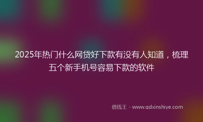2025年热门什么网贷好下款有没有人知道，梳理五个新手机号容易下款的软件