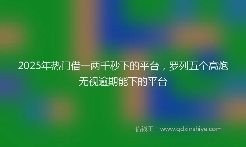 2025年热门借一两千秒下的平台，罗列五个高炮无视逾期能下的平台