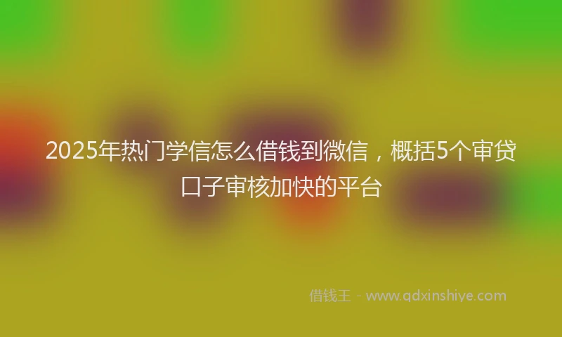 2025年热门学信怎么借钱到微信，概括5个审贷口子审核加快的平台