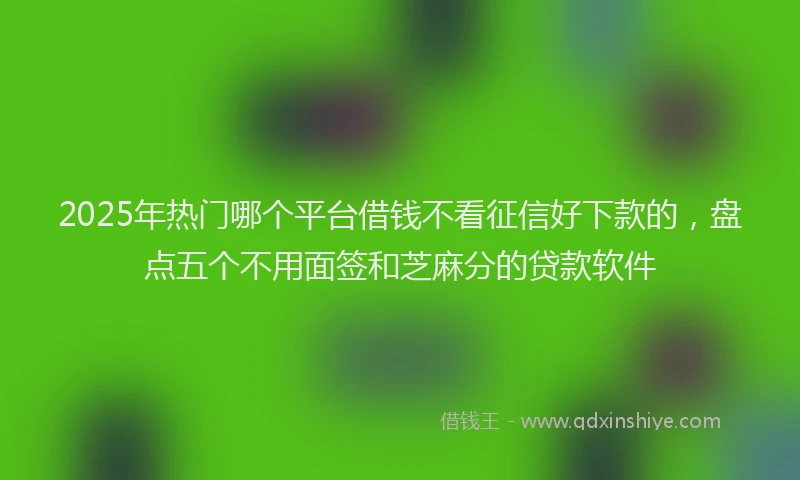 2025年热门哪个平台借钱不看征信好下款的，盘点五个不用面签和芝麻分的贷款软件