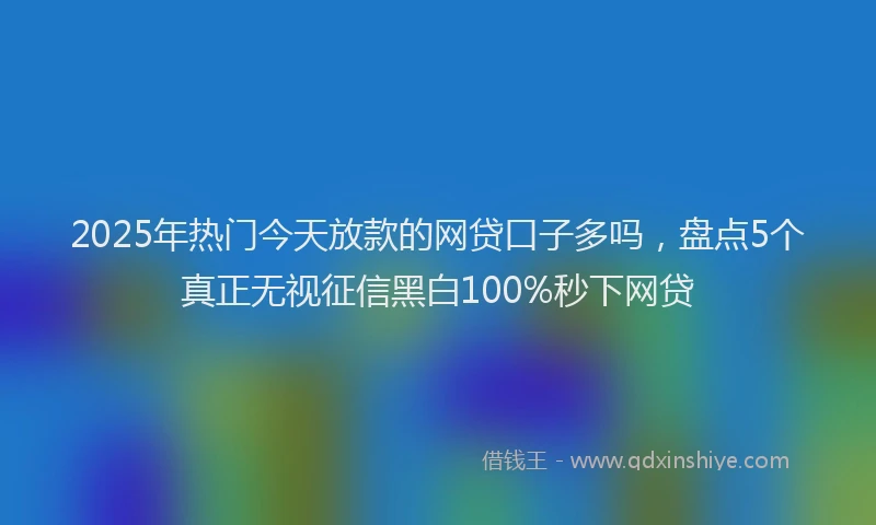 2025年热门今天放款的网贷口子多吗，盘点5个真正无视征信黑白100%秒下网贷