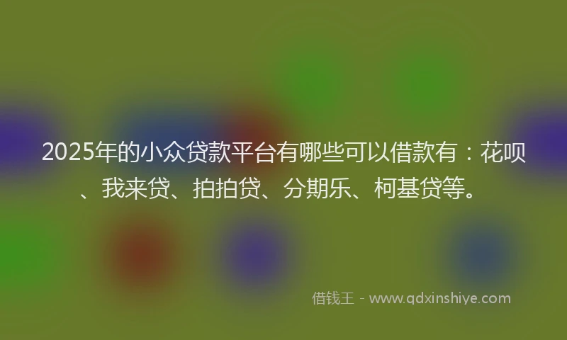 2025年的小众贷款平台有哪些可以借款有：花呗、我来贷、拍拍贷、分期乐、柯基贷等。