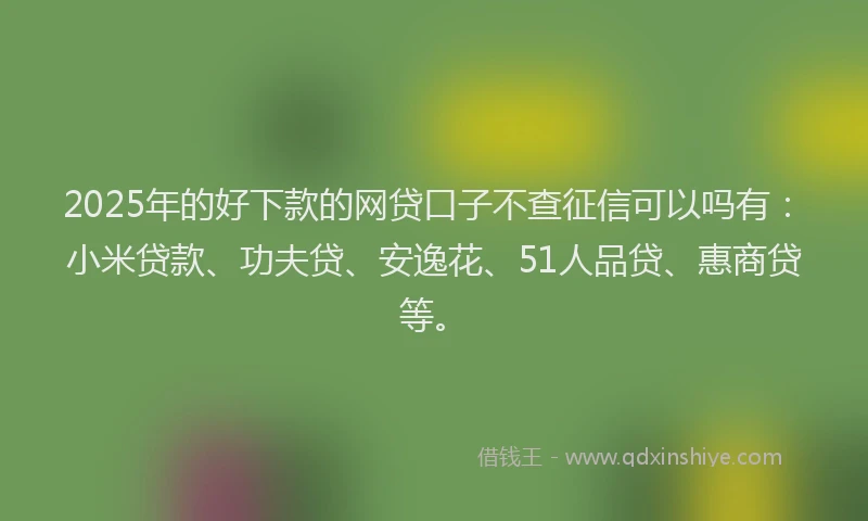 2025年的好下款的网贷口子不查征信可以吗有：小米贷款、功夫贷、安逸花、51人品贷、惠商贷等。