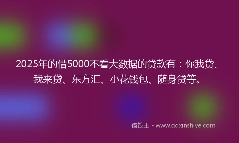 2025年的借5000不看大数据的贷款有：你我贷、我来贷、东方汇、小花钱包、随身贷等。