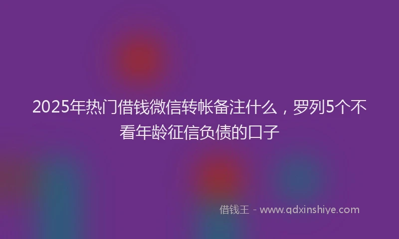 2025年热门借钱微信转帐备注什么，罗列5个不看年龄征信负债的口子