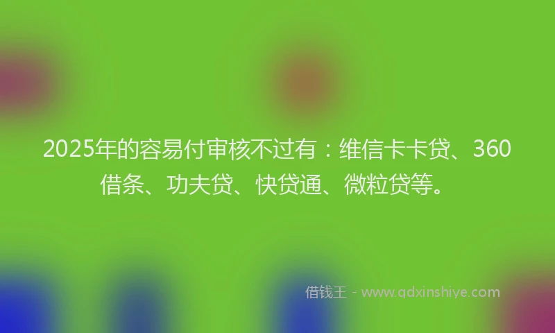 2025年的容易付审核不过有：维信卡卡贷、360借条、功夫贷、快贷通、微粒贷等。