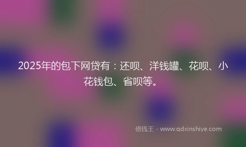 2025年的包下网贷有：还呗、洋钱罐、花呗、小花钱包、省呗等。
