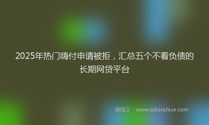 2025年热门嗨付申请被拒，汇总五个不看负债的长期网贷平台
