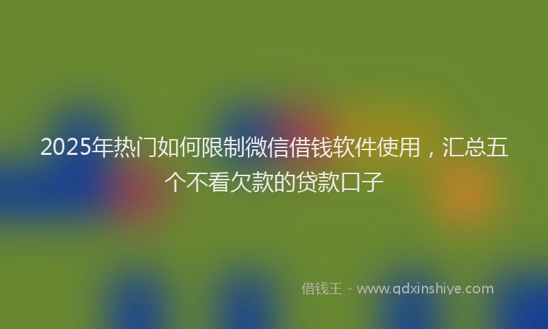 2025年热门如何限制微信借钱软件使用，汇总五个不看欠款的贷款口子