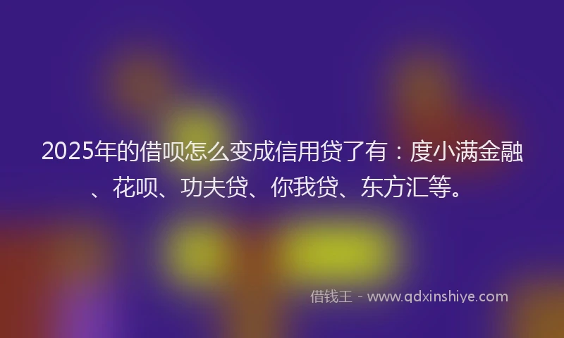 2025年的借呗怎么变成信用贷了有：度小满金融、花呗、功夫贷、你我贷、东方汇等。