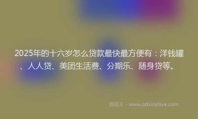2025年的十六岁怎么贷款最快最方便有：洋钱罐、人人贷、美团生活费、分期乐、随身贷等。