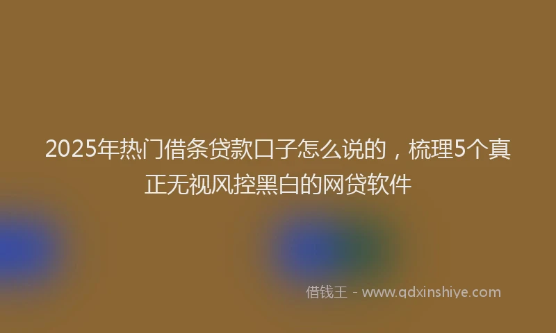 2025年热门借条贷款口子怎么说的,梳理5个真正无视风控黑白的网贷软件