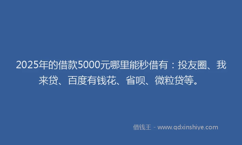 2025年的借款5000元哪里能秒借有：投友圈、我来贷、百度有钱花、省呗、微粒贷等。