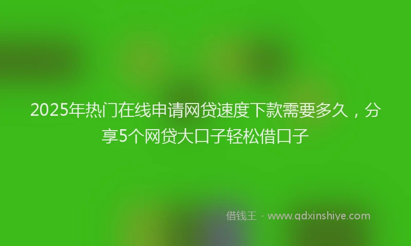 2025年热门在线申请网贷速度下款需要多久，分享5个网贷大口子轻松借口子