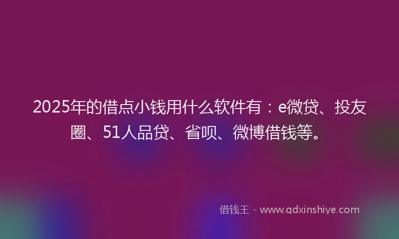 2025年的借点小钱用什么软件有：e微贷、投友圈、51人品贷、省呗、微博借钱等。