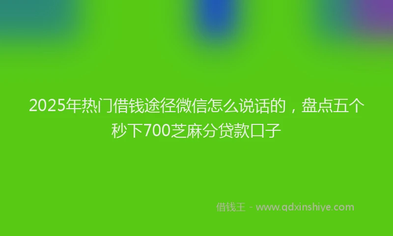 2025年热门借钱途径微信怎么说话的，盘点五个秒下700芝麻分贷款口子