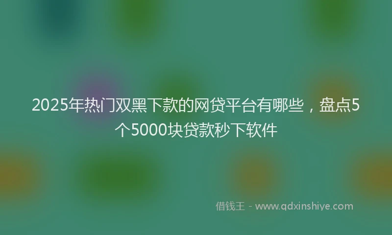 2025年热门双黑下款的网贷平台有哪些，盘点5个5000块贷款秒下软件