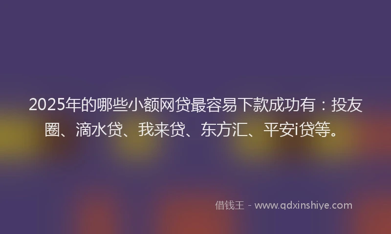 2025年的哪些小额网贷最容易下款成功有：投友圈、滴水贷、我来贷、东方汇、平安i贷等。