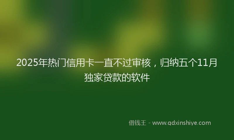 2025年热门信用卡一直不过审核，归纳五个11月独家贷款的软件