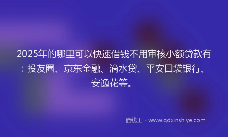 2025年的哪里可以快速借钱不用审核小额贷款有：投友圈、京东金融、滴水贷、平安口袋银行、安逸花等。