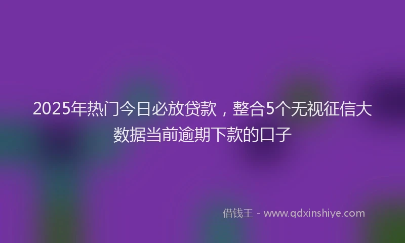 2025年热门今日必放贷款，整合5个无视征信大数据当前逾期下款的口子
