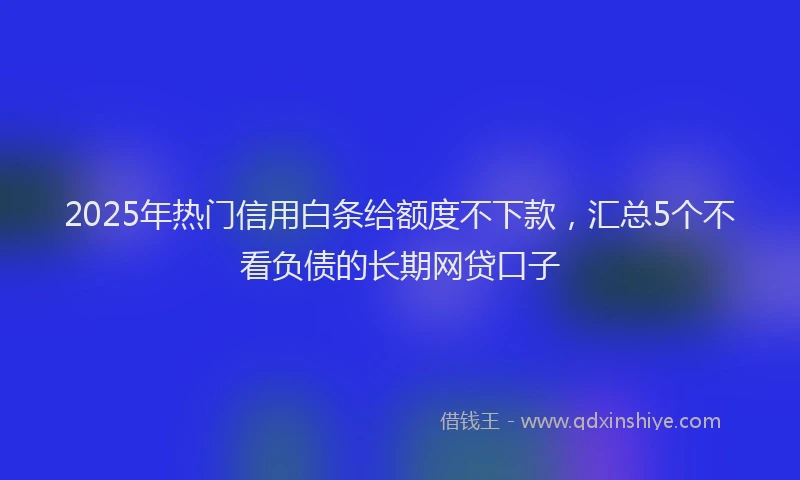 2025年热门信用白条给额度不下款，汇总5个不看负债的长期网贷口子